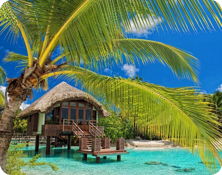 better performance image